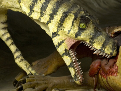 The evolution of Monte Pisano. Courtesy of Museo di Storia Naturale