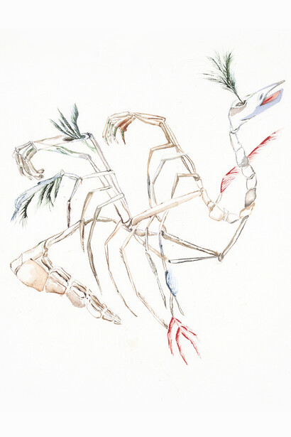 Maro Michalakakos, In Orbit (Specimen 27), 2021, watercolor on paper, 45 x 60 cm. Courtesy Kalfayan Galleries   