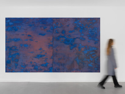 Birk Bjørlo, Waste land, exhibition view. Courtesy of Brigade Gallery 