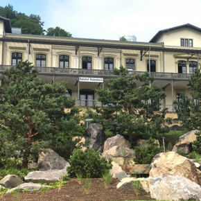 Japan Fever. Courtesy of Arp Museum