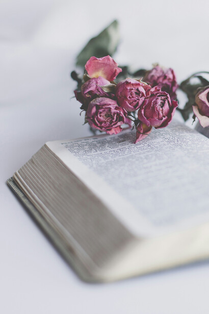 Una donna stringe tra le mani la Bibbia