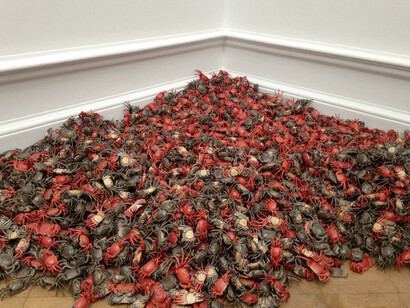 Crabs