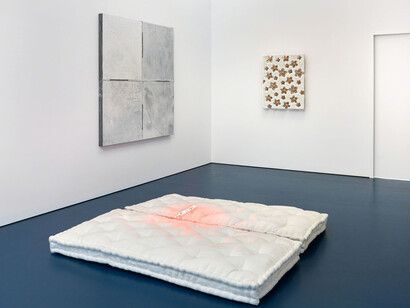 Tonic of Wildness. Courtesy of Marianne Boesky Gallery