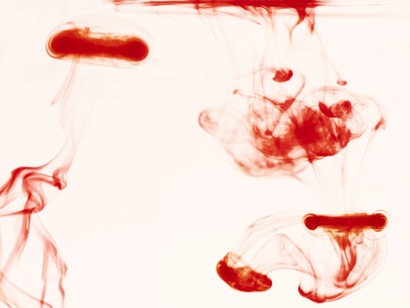Tonalità di rosso, chiaro e scuro. Confronto tra artisti: utilizzo differenziato del colore rosso