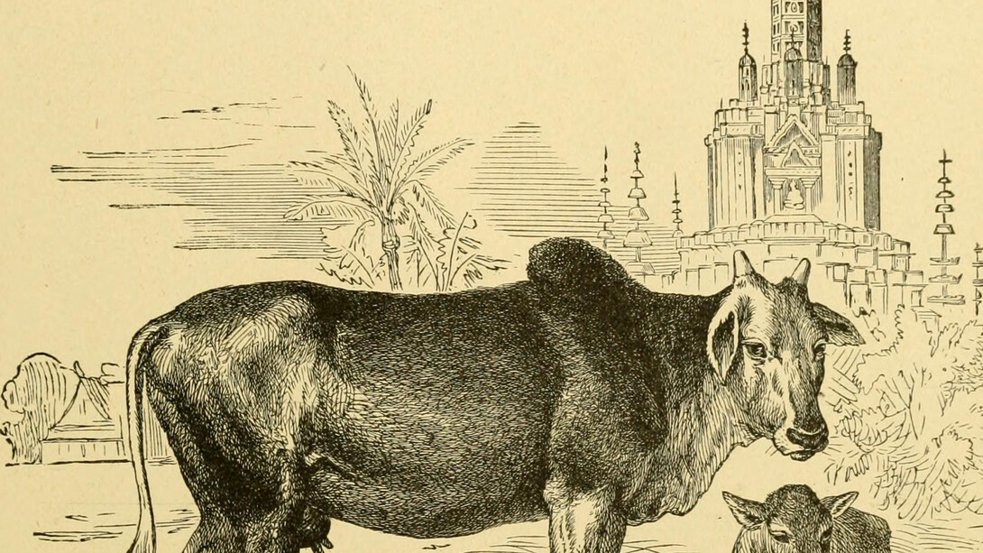 Historia del mundo de John Clark Ridpath (April 26, 1840 – July 31, 1900) : un relato del origen étnico, el estado primitivo, las primeras migraciones, las condiciones sociales y la promesa actual de las principales familias de hombres (1897), USA