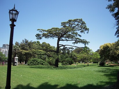 Parque 3 de febrero, Ciudad Autónoma de Buenos Aires, Argentina