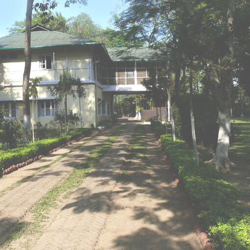 Chowkidinghee Heritage Chang Bungalow, Dibrugarh. Credit Purvi Discovery