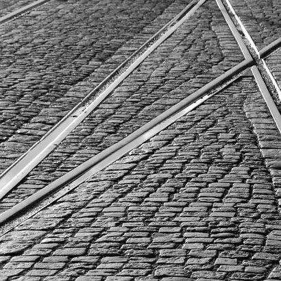 Differenze programmatiche del centrosinistra, che rendono difficile individuare una direzione comune oltre la scelta del candidato premier