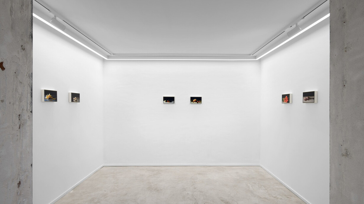 David Moy, Double negative, exhibition view. Courtesy of Nino Mier Gallery
