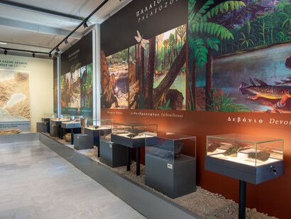 Exhibition of the Lesvos Petrified Forest, exhibition view. Courtesy of Natural History Museum of the Lesvos Petrified Forest