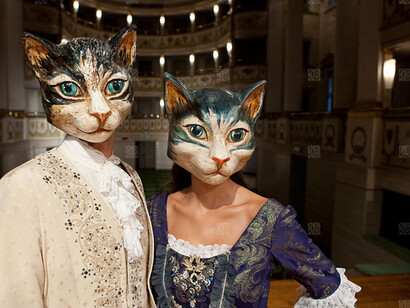 Le maschere dei gatti