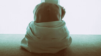 Acerca de la vergüenza