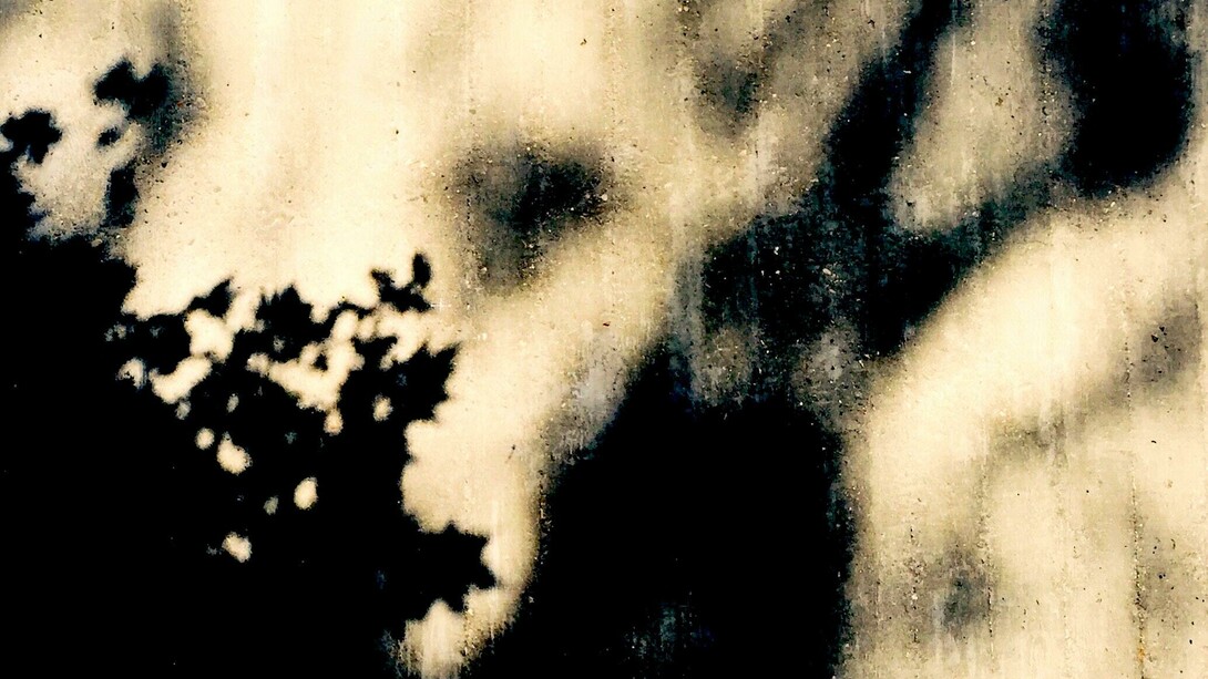 La sombra de un paisaje que luego desaparecerá, con un soplo, como si se tratase de una transformación alquímica