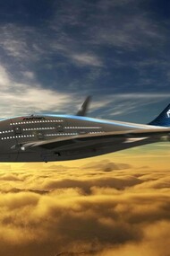 The Sky Whale aircraft is a concept that focuses on the "green" aircraft designs of the future for the ordinary airliner planes of the twenty-first century