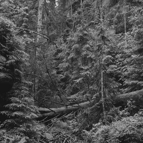 Tereza Zelenkova. Courtesy of The Ravestijn Gallery