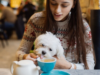 At a pet-friendly café, a woman sips her coffee and smiles while holding her adorable dog, enjoying a relaxing moment during her travels