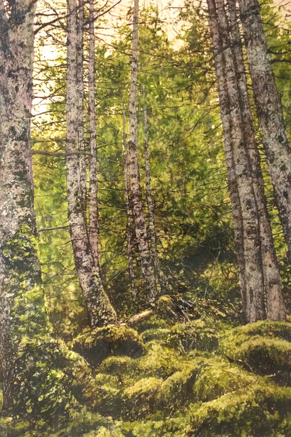 Jack Frame, Forest 
