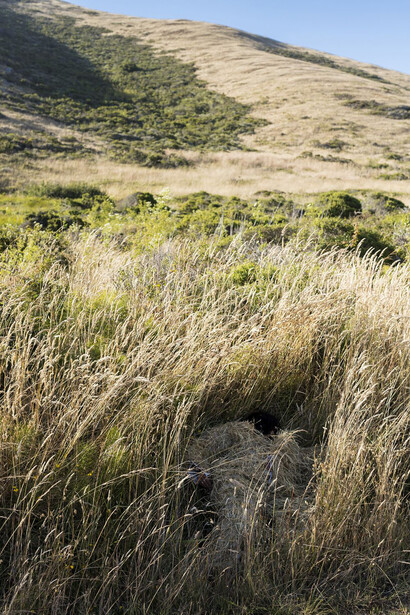 A body measured against the earth. Courtesy of Museum of Contemporary Art
