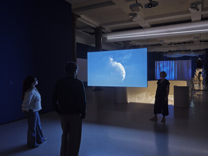 Asta Gröting, A wolf, primates and a breathing curve, exhibition view. Courtesy of Museum Städel