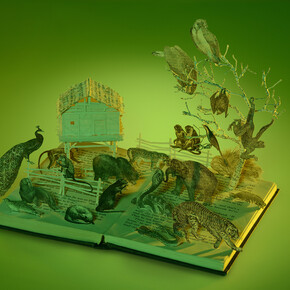 Su Blackwell, Jungle Book, 330mm w x 280mm h x 240mm d, Paper, book, lights, paper sculpture in glass and wood box