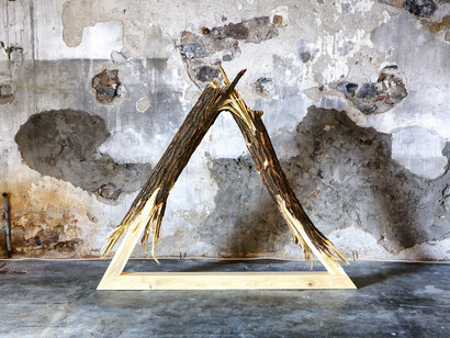 Mattia Bosco. Come cera per le api