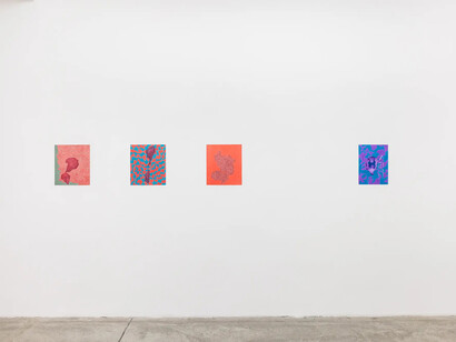 Adriana Czernin, American flowers, exhibition view. Courtesy of Galerie Martin Janda 