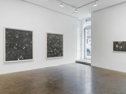 ROBYN O’NEIL: THE GOOD HERDInstallation View, 2017, Susan Inglett Gallery, NYC