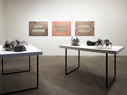 2.7°. Courtesy of Carrie Secrist Gallery