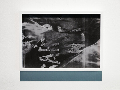 Jojo Gronostay, The elephants, exhibition view. Courtesy of Neue Galerie Graz