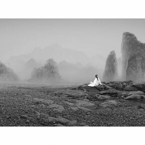 Yang Yongliang, Silent Valley, A Snake and Grenade, 2012