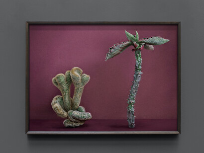 Mario Testino, Cactus (III), 2020. Courtesy of Hamiltons Gallery 