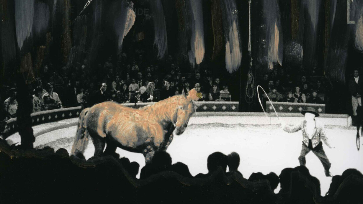 Ming Smith, Pink horse, date unknown. Courtesy of the Columbus Museum of Art