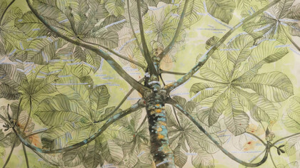 Blanca Moreno, Bajo los arboles 