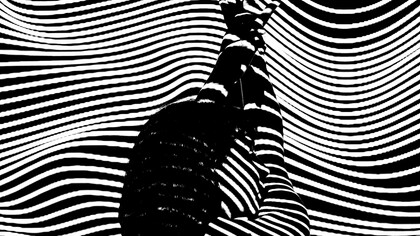 Percepción