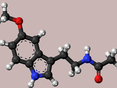 La melatonina se sintetiza a partir del triptófano, un aminoácido que ingerimos con los alimentos. Modelo de «bola y varilla» de la molécula de melatonina, una hormona que regula el ciclo diurno y nocturno en los animales. Carbono, C: negro. Hidrógeno, H: blanco. Oxígeno, O: rojo. Nitrógeno, N: azul