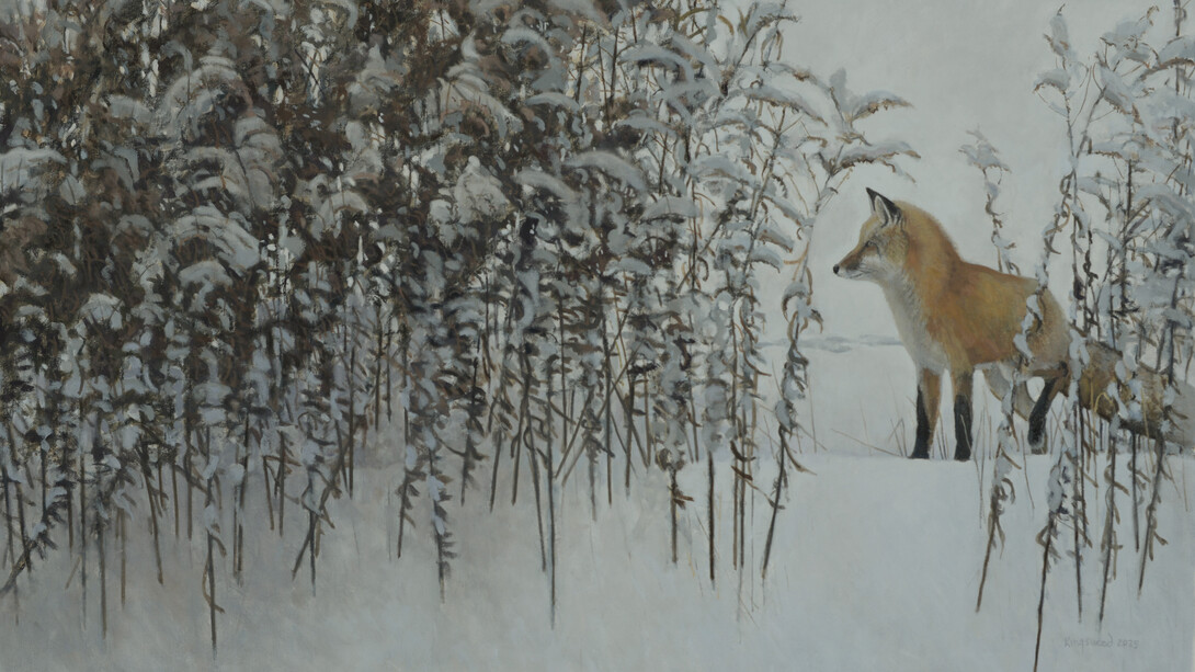 Ron Kingswood, He knows (detail), 2026. Courtesy of LewAllen Galleries