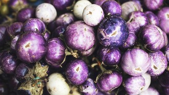 Eggplants