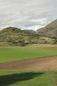 Pascoli in altura in Umbria