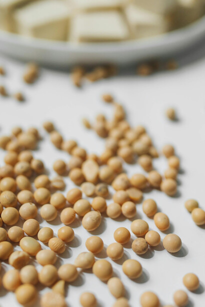 Soy protein isolate sources including tofu, soybeans, and soy milk against a clean white background