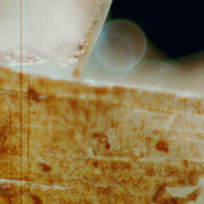 Luke Willis Thompson. Courtesy of Kunsthalle Basel