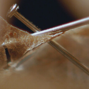 Luke Willis Thompson. Courtesy of Kunsthalle Basel