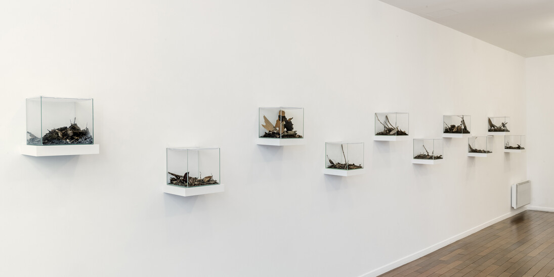 Coquelicots, Exhibition view. Courtesy of MFC - Michèle Didier