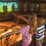Crossroads Montréal. Courtesy of Pointe-à-Callière
