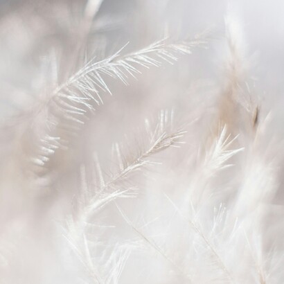 Il suo incontro con Pier Paolo Pasolini fu quello tra un poeta dell’immagine e un corpo consapevole di stare per diventare parola definitiva
