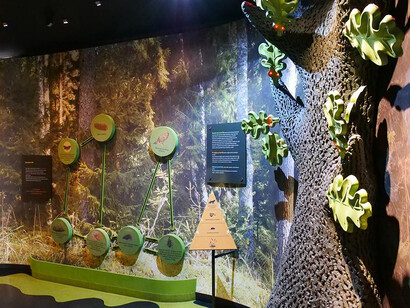 Humans and the environment, exhibition view. Courtesy of the Latvian National Museum of Natural History
