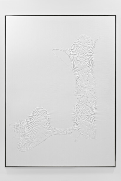 Santiago Taccetti, Untitled (Einstatzbereich Innen - Außen), Household acrylic on canvas, 200 x 145 x 3.5 cm, 2015