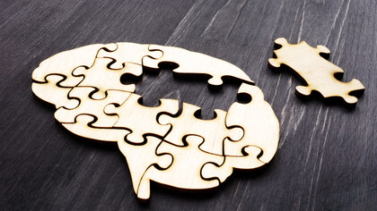 En todos los casos (es regla sin excepción), siempre se aportan pruebas sesgadas —reales, tangibles o intangibles—, que hacen creíbles, verosímiles, aceptables, los argumentos utilizados