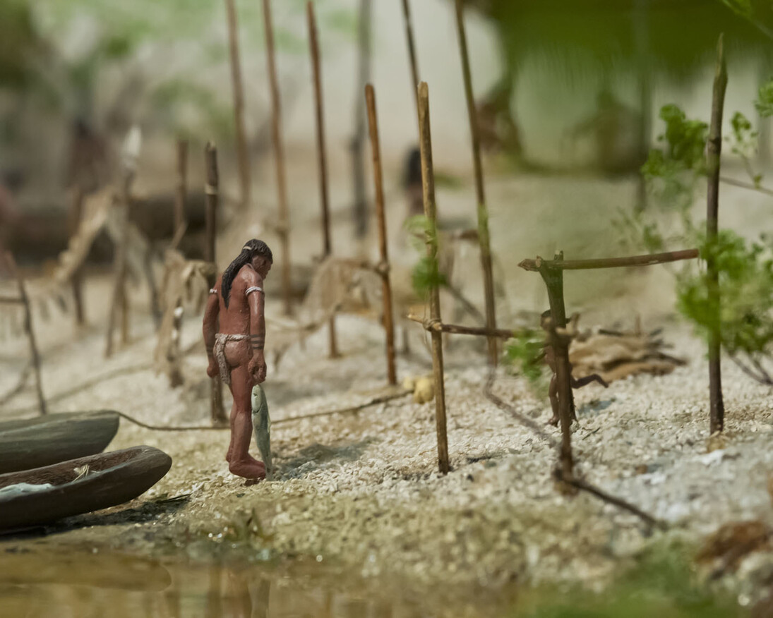 South Florida People & Environments. Courtesy of Florida Museum of Natural History