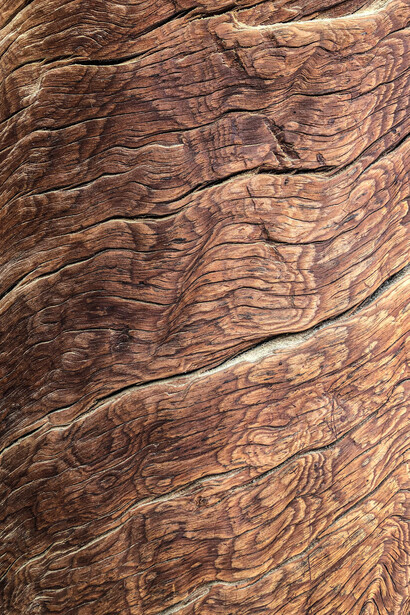 Venature del legno: un tempo in modo proficuo, funzionale e con risultati davvero pregevoli, gli oggetti che erano stati costruiti in legno o metallo potevano essere ritrasformati e riadattati quasi all’infinito