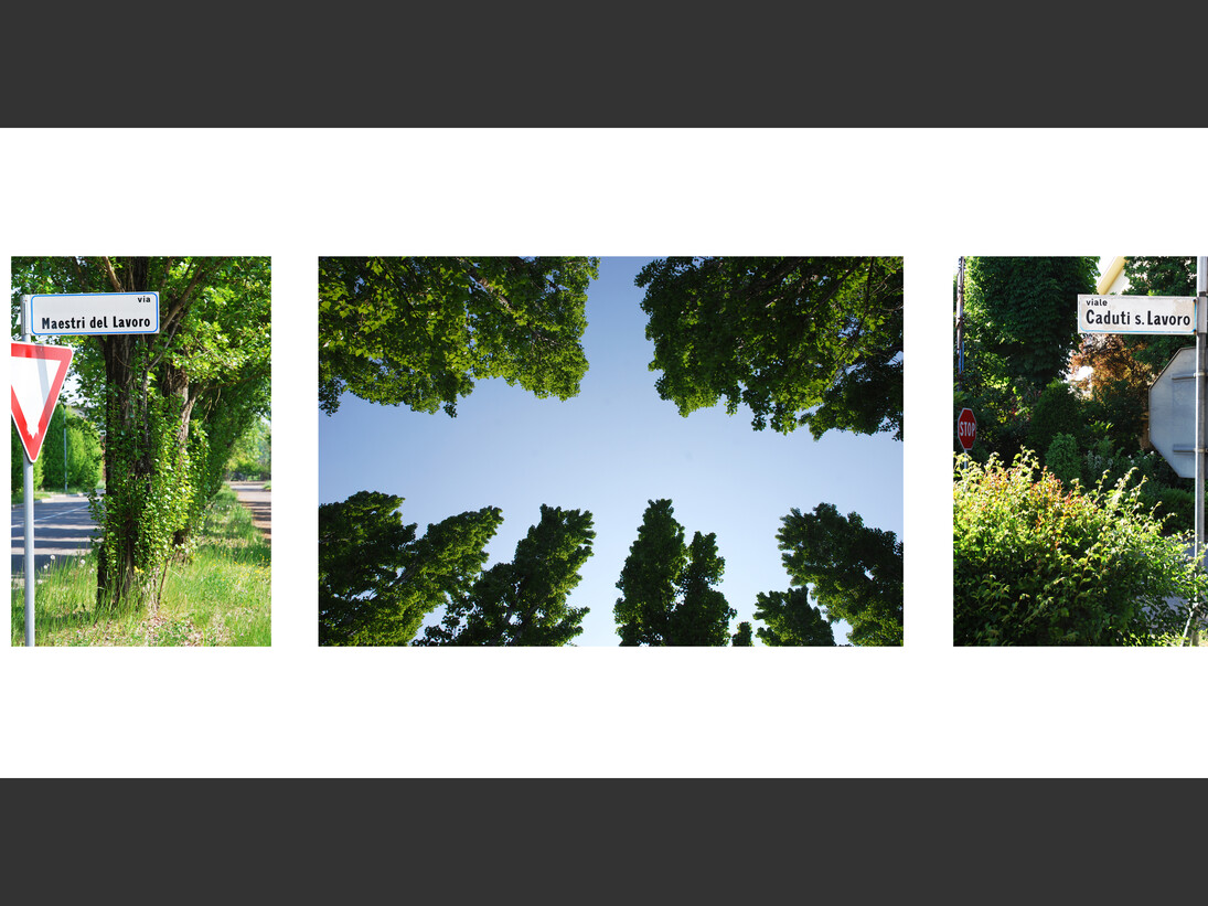 Roberto Dapoto, Maestri del Lavoro, Caduti sul Lavoro, 2017, dettaglio